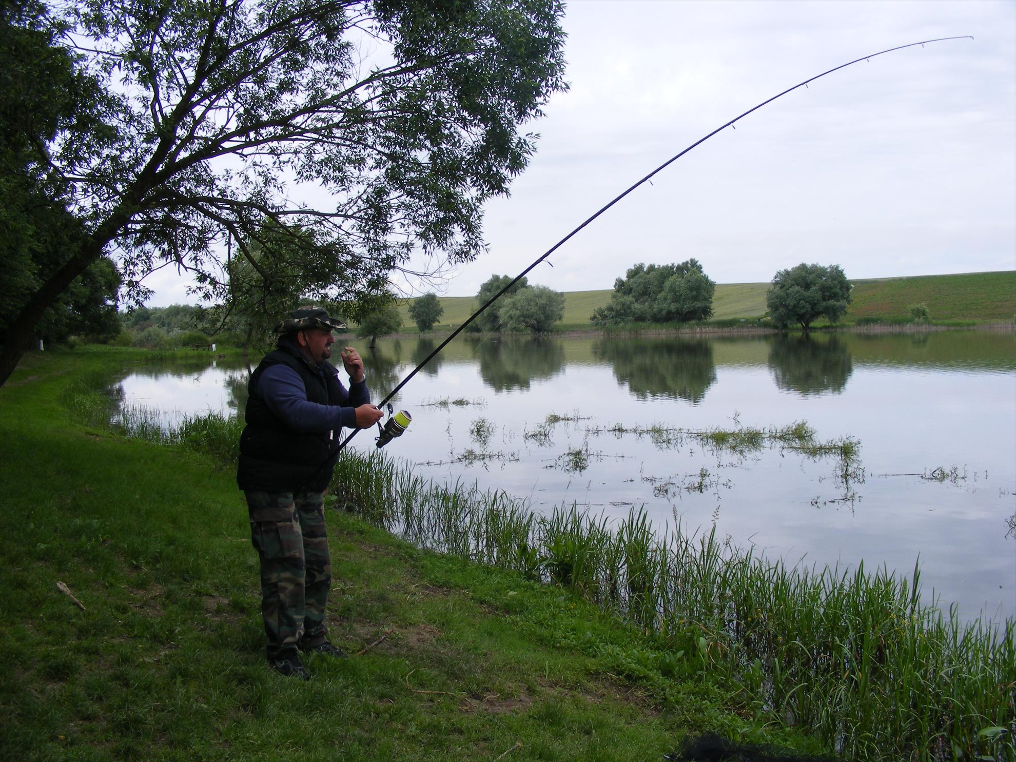 CETARIU 2013 - calin-0081.jpg